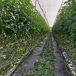 La Aldea De
