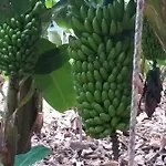 La Aldea De