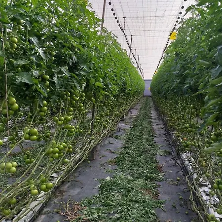La Aldea De